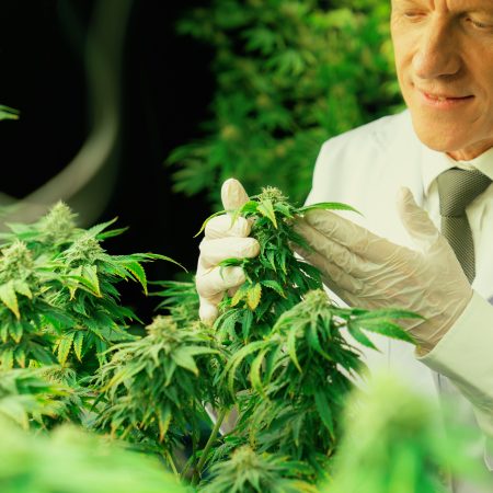 Patient Section 21 Registration Fee